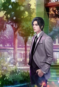 贅婿震武林